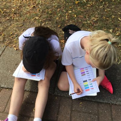 Data Collection and Statistics