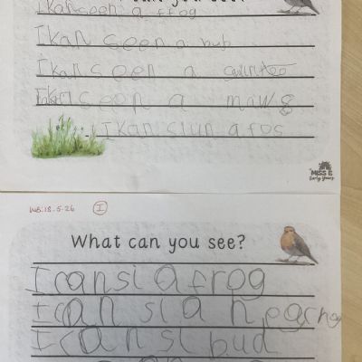 Wonderful Writing!