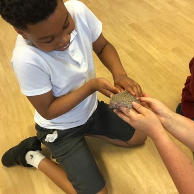 Animal Encounters