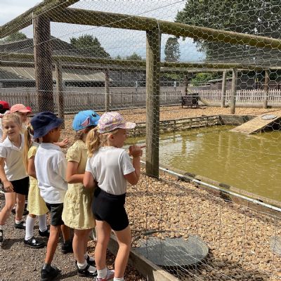 Rookery Farm Visit