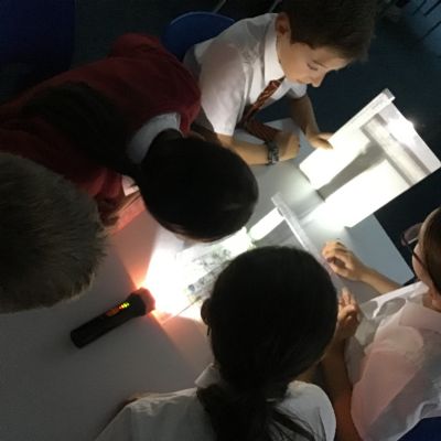 Investigating Shadows