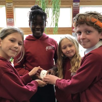 Bikeability Antics and Egyptian projects!