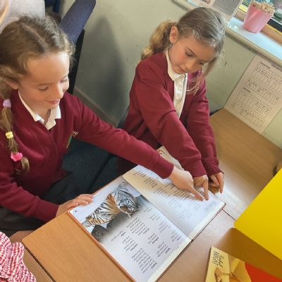 Non-fiction texts