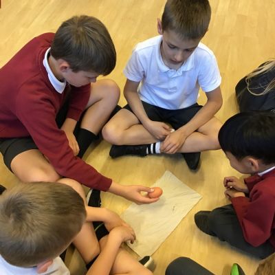 Science Week 🥼🪴🥚