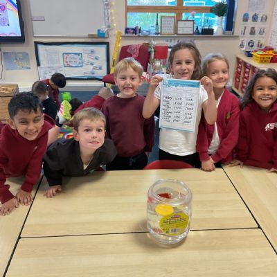 Floating and sinking fun!